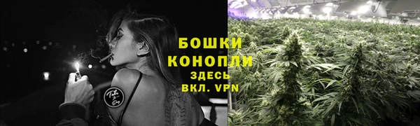 сатива Гатчина