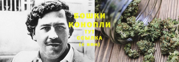 спиды Липки