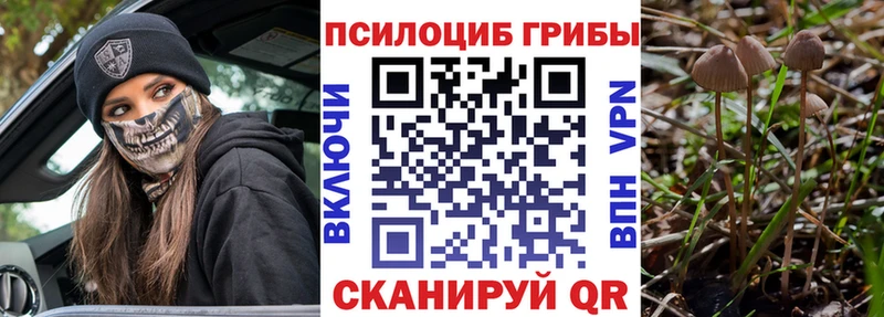 Псилоцибиновые грибы мицелий  OMG рабочий сайт  Михайловка 