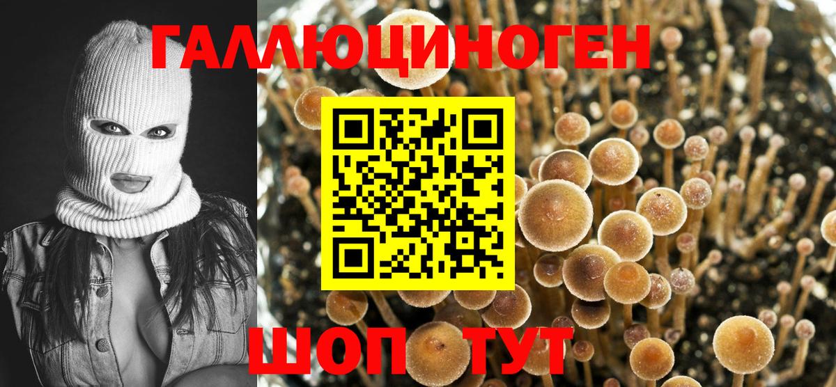 цены   Псилоцибиновые грибы Magic Shrooms  Вход с VPN  Михайловка 