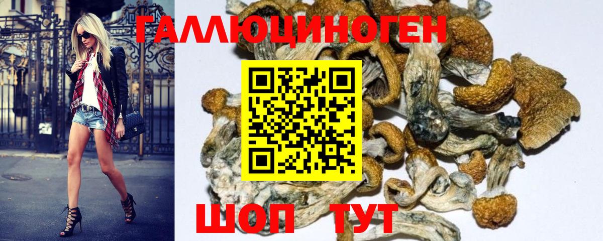 Псилоцибиновые грибы Magic Shrooms Михайловка