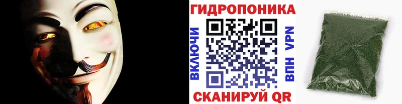 Бошки марихуана планчик  магазин продажи   Михайловка 